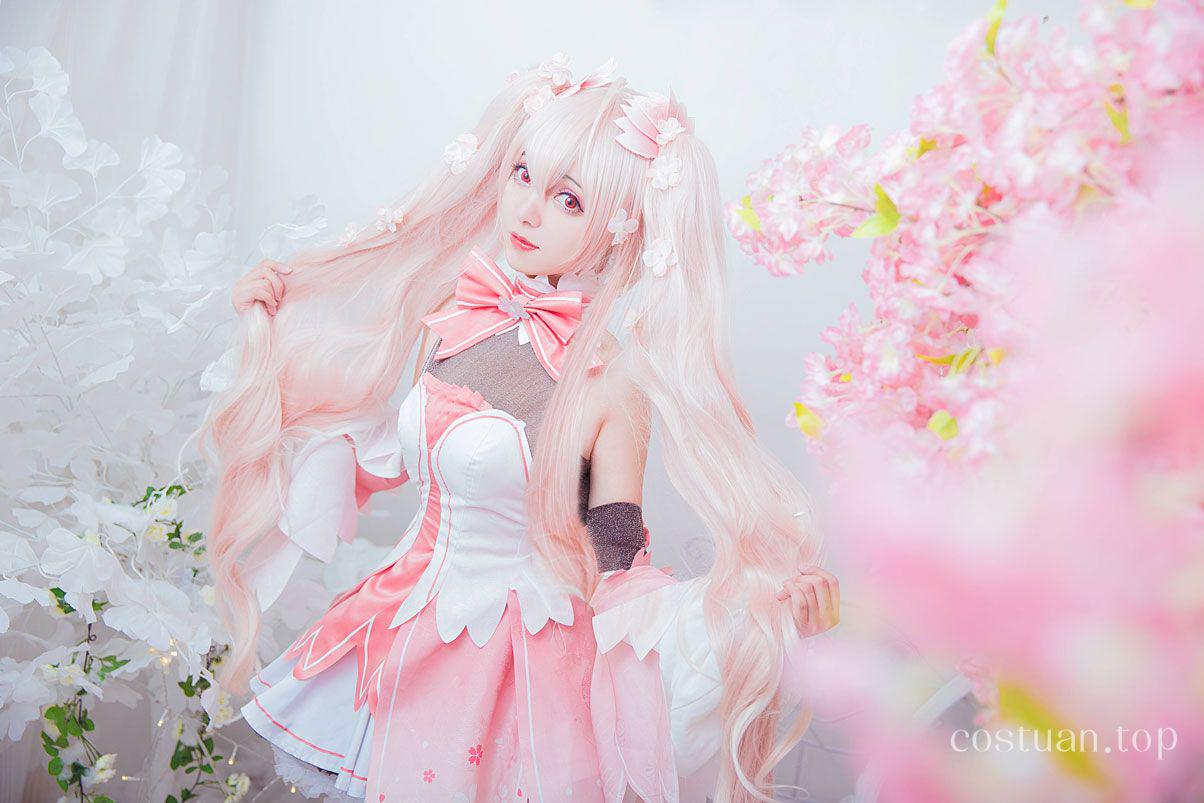 斯文文文文COSPLAY写真图片包合集[76套][持续更新]